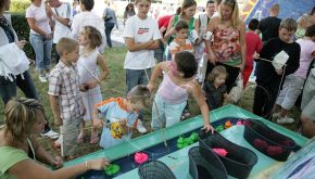 Kermesse Kermesse