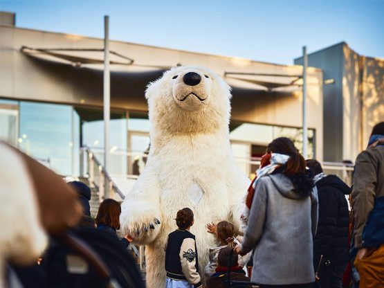 Déambulation ours polaire XXL ENVOL pour parade de Noël hivernale