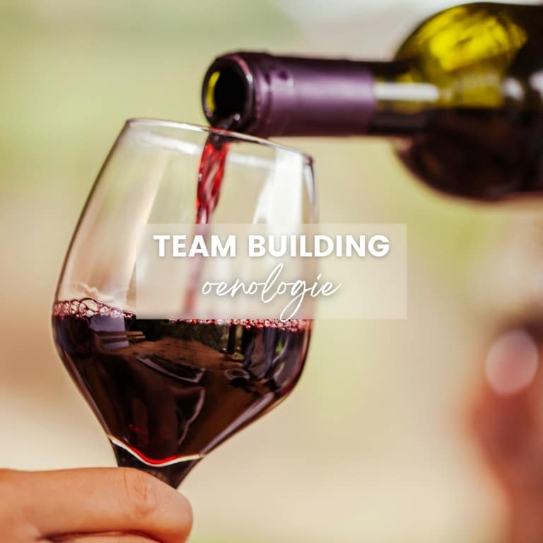teambuilding-oenologie-nantes