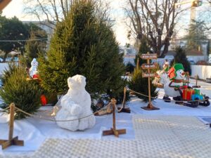 location-piste-de-ski-synthetique