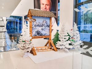 location-décor-montagne