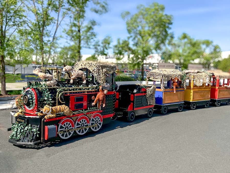 petit-train-safari-commerce