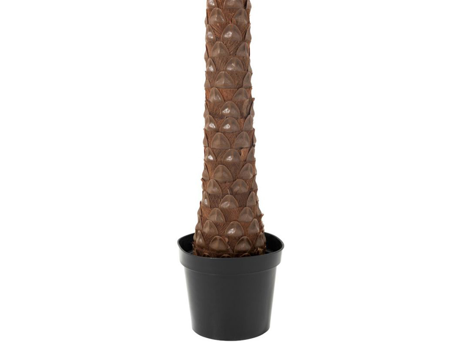 location-palmier-artificiel
