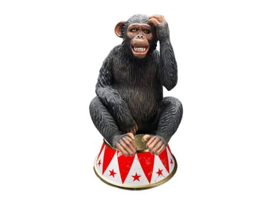 location-singe-cirque
