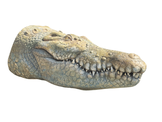 Décor crocodile