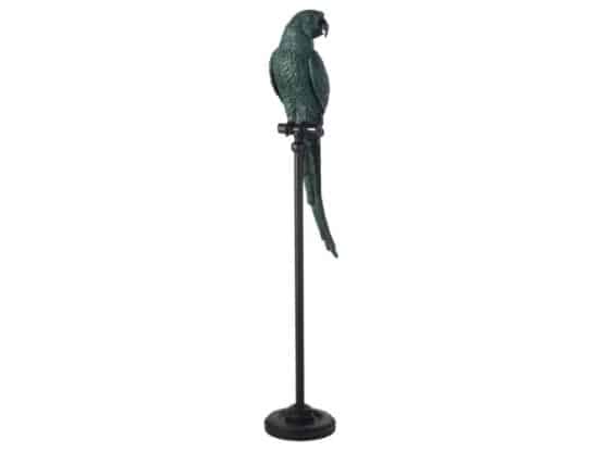 location-décoration-perroquet