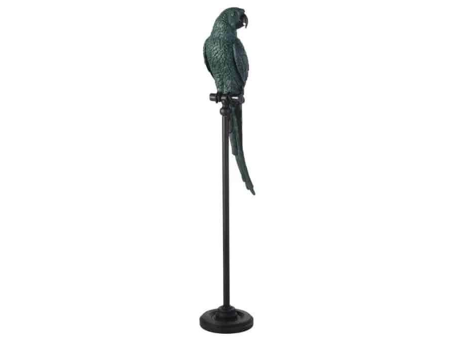 location-décoration-perroquet