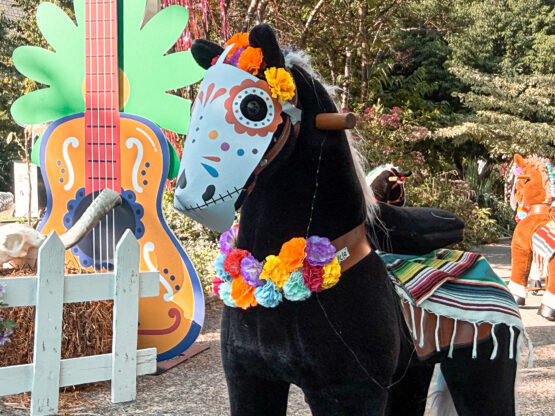 los-caballos-manege-chevaux-enfants-mexicain